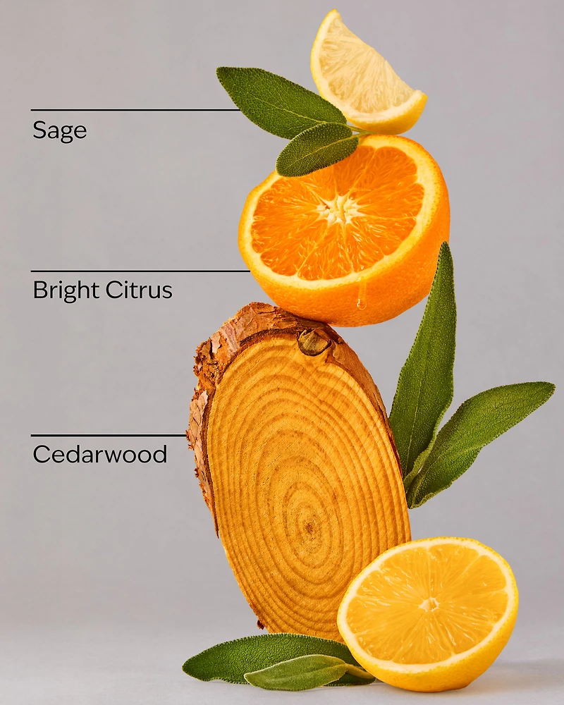 Football Season 3-in-1 Hair, Face & Body Wash