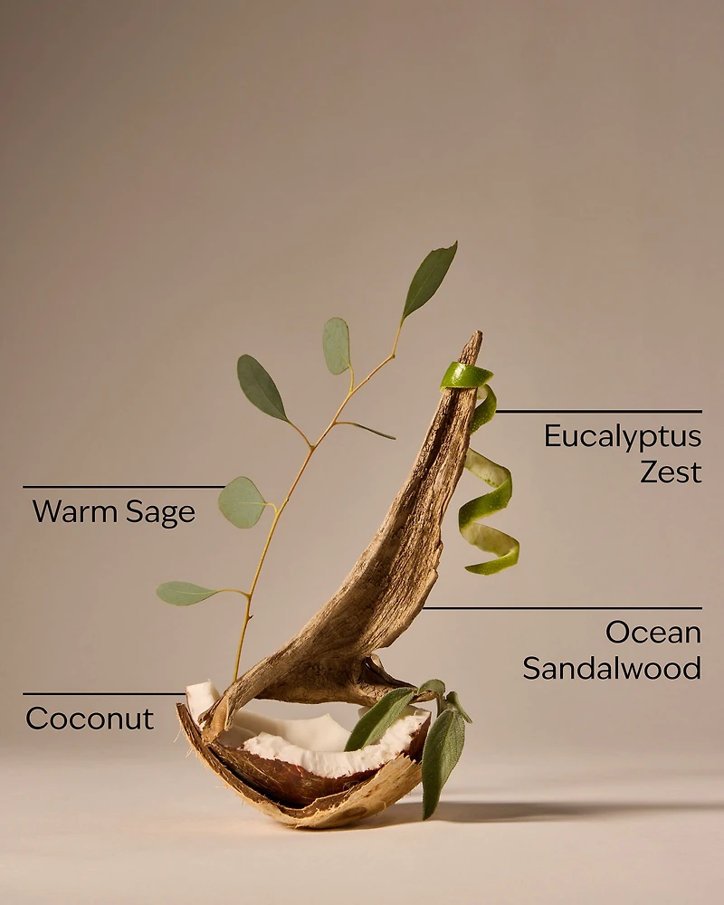 Warm Ocean Breeze Wallflowers Refills 2-Pack