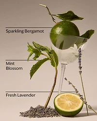 Clean House Vibes Hanging Fragrance Diffuser