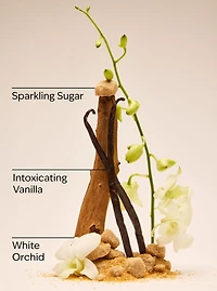 Warm Vanilla Sugar Body Lotion