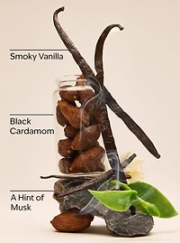 Noir Single Wick Candle