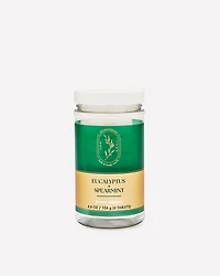 Eucalyptus Spearmint Shower Steamers