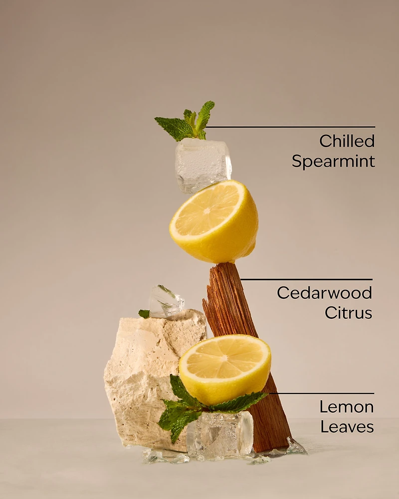 Fresh Amalfi Lemon 3-Wick Candle