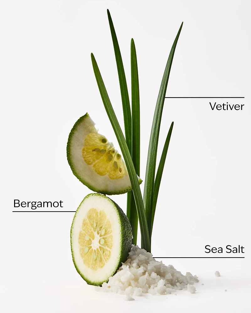 Sea Salt + Musk Fragrance-Infused Liquidless Reeds