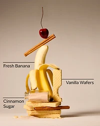 Main Street Bakery Wallflowers Refills 2-Pack