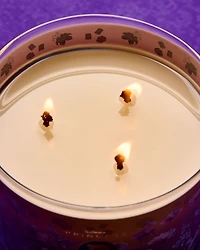 Rapunzel 3-Wick Candle