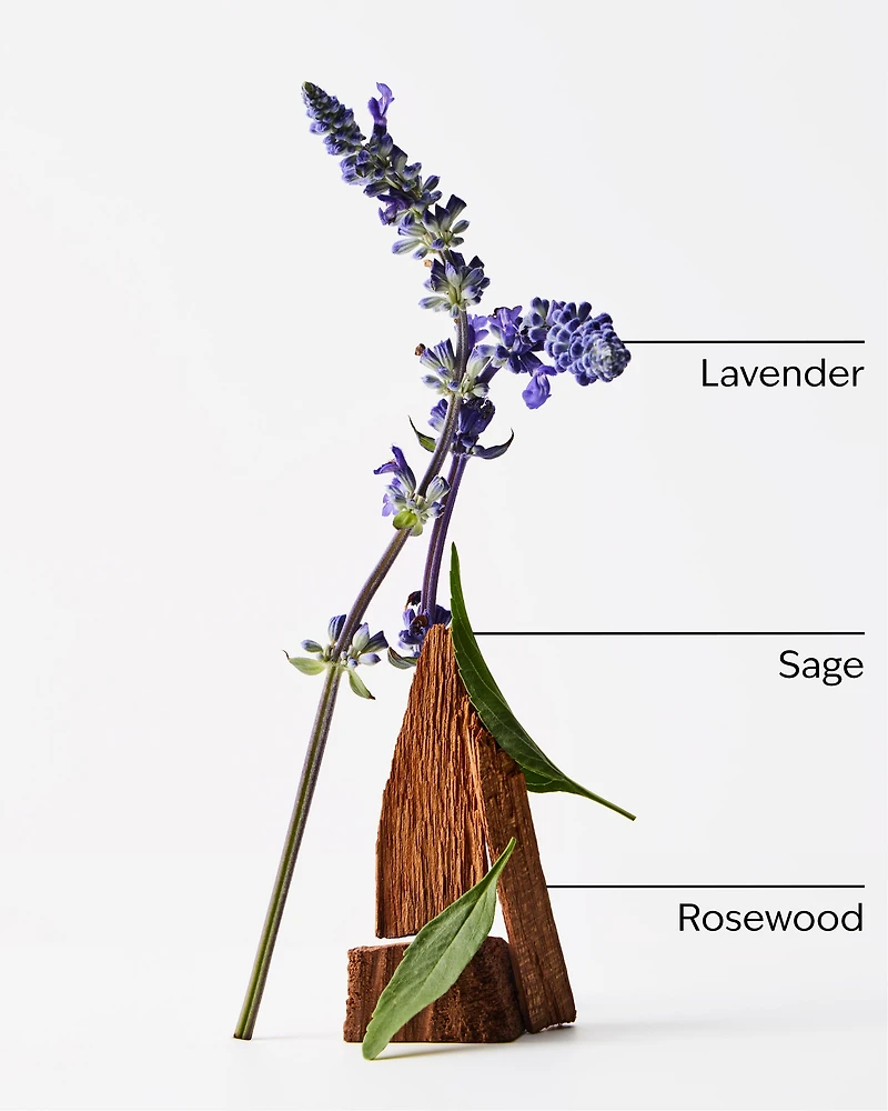 Lavender + Jasmine Wallflowers Fragrance Refill