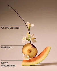 Cherry Blossom Body Lotion