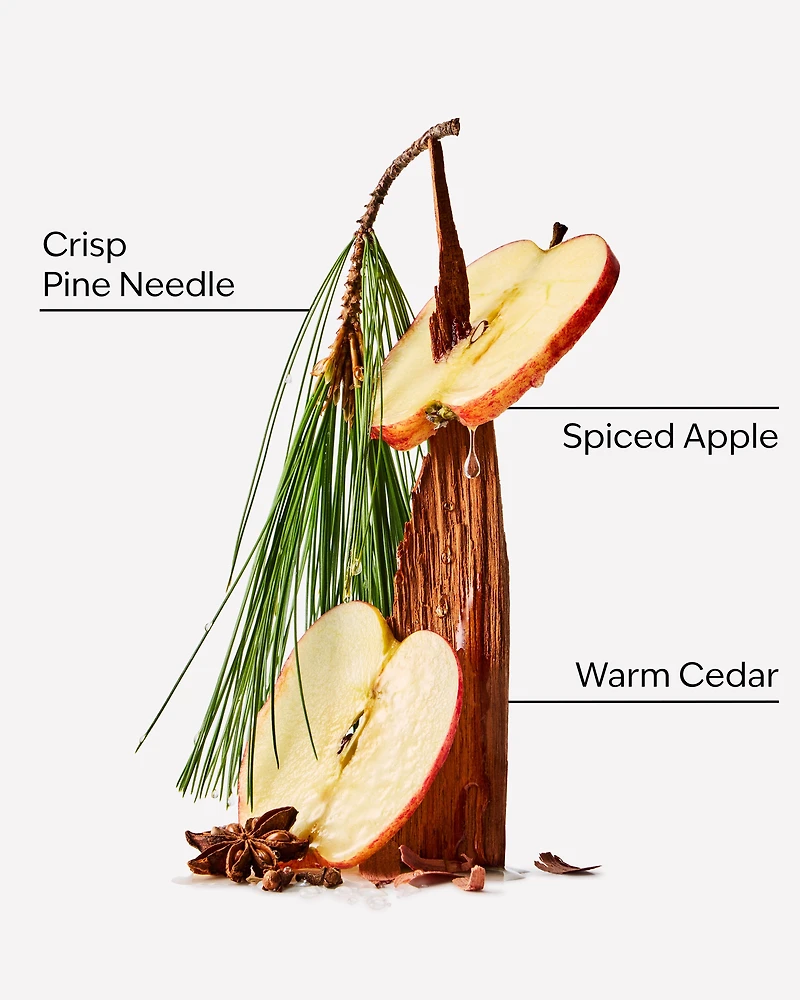 Tree Farm Single Wick Candle