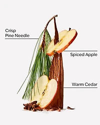 Tree Farm Single Wick Candle