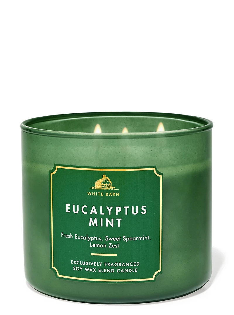 Eucalyptus Mint 3-Wick Candle