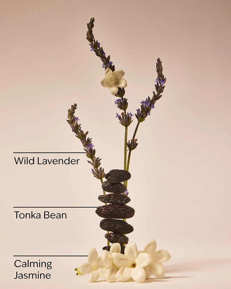 Sweet Lavender Daily Moisturizing Hand Soap