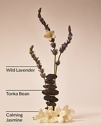 Sweet Lavender Daily Moisturizing Hand Soap