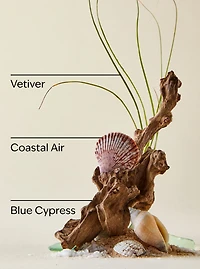 Ocean 3-in-1 Hair, Face & Body Wash