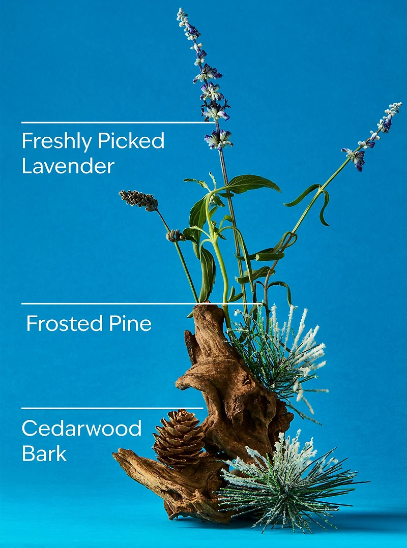 Lavender & Pine 3-Wick Candle