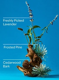 Lavender & Pine 3-Wick Candle