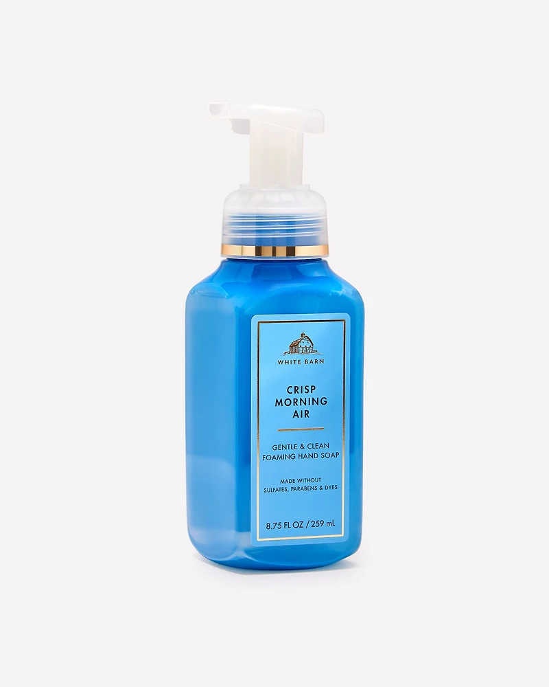 Crisp Morning Air Gentle & Clean Foaming Hand Soap