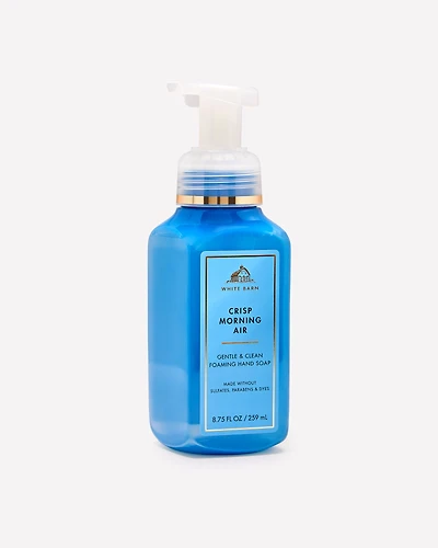 Crisp Morning Air Gentle & Clean Foaming Hand Soap