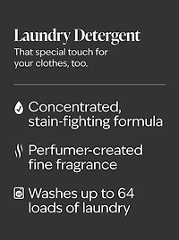 Maleficent Laundry Detergent