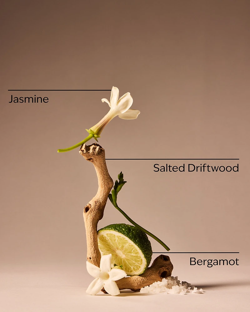 Sea Salt Cliffs Gentle & Clean Foaming Hand Soap Refill