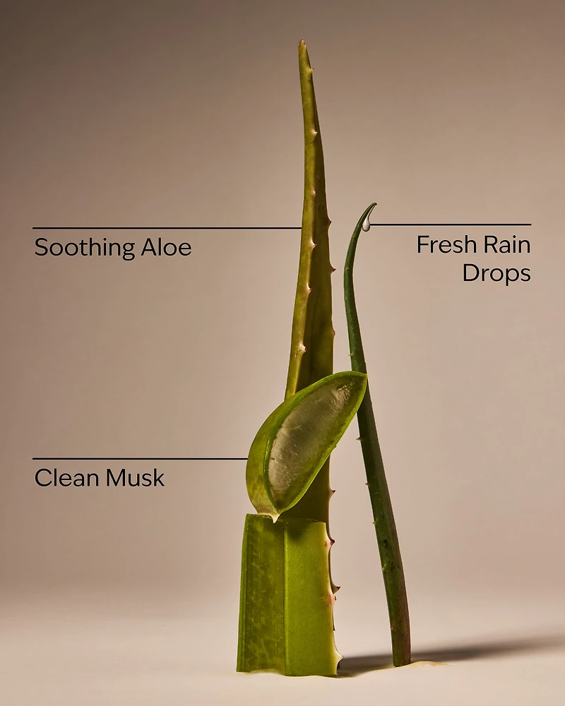 Cool Aloe Water Daily Moisturizing Hand Soap