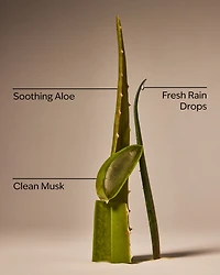 Cool Aloe Water Daily Moisturizing Hand Soap