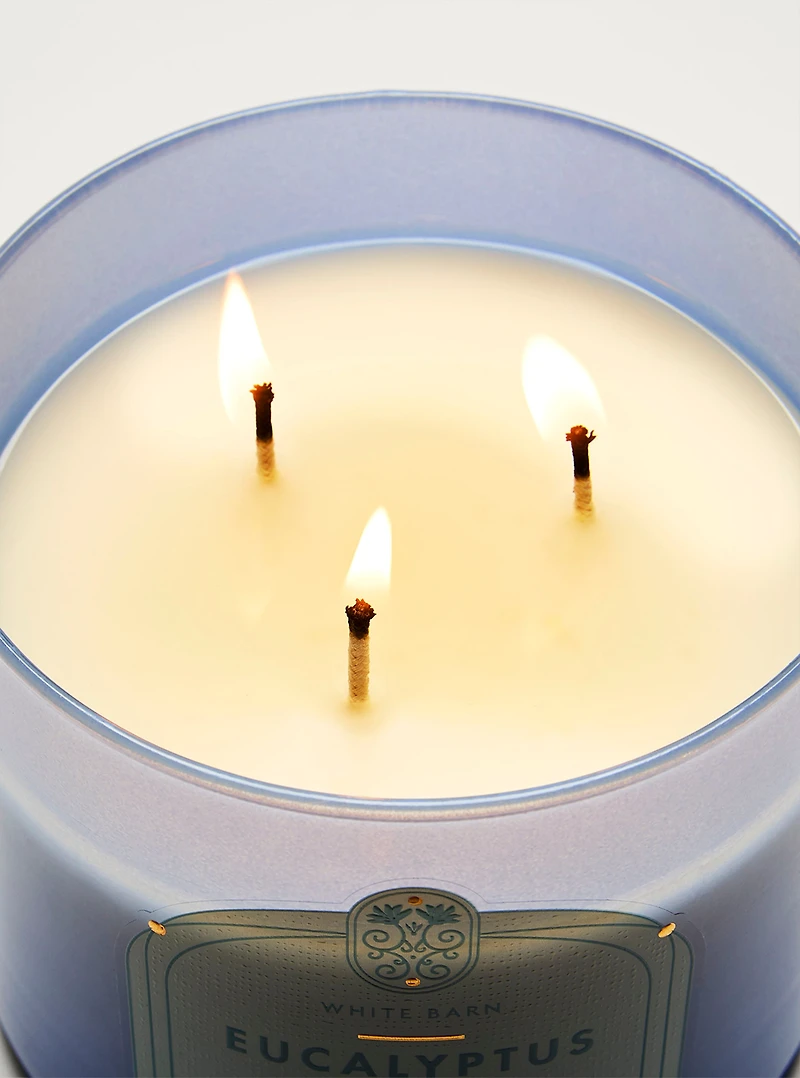 Eucalyptus Rain 3-Wick Candle