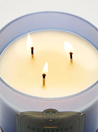 Eucalyptus Rain 3-Wick Candle