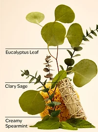 Eucalyptus Spearmint Mini Gift Set