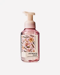 Champagne Toast Gentle & Clean Foaming Hand Soap