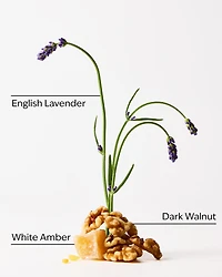 Autumn Woods 3-Wick Candle