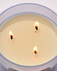 Violet & Musk 3-Wick Candle