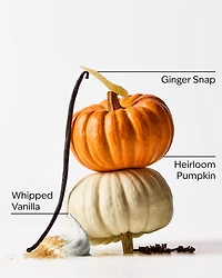 Sweet Cinnamon Pumpkin Gentle & Clean Foaming Refill