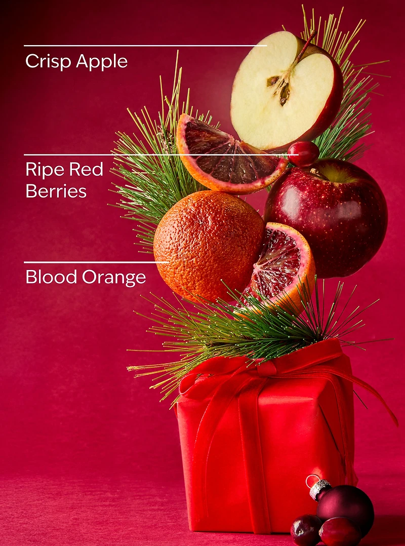 Bright Christmas Morning Wallflowers Fragrance Refill