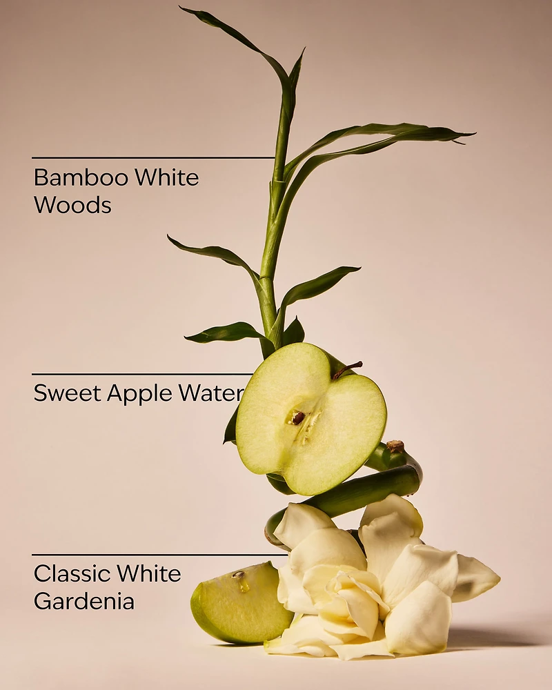 Rainforest Gardenia Wallflowers Refills 2-Pack