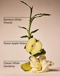 Rainforest Gardenia Wallflowers Refills 2-Pack