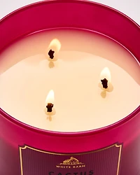 Cactus Blossom 3-Wick Candle