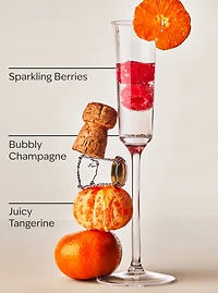 Champagne Toast Car Fragrance Refill