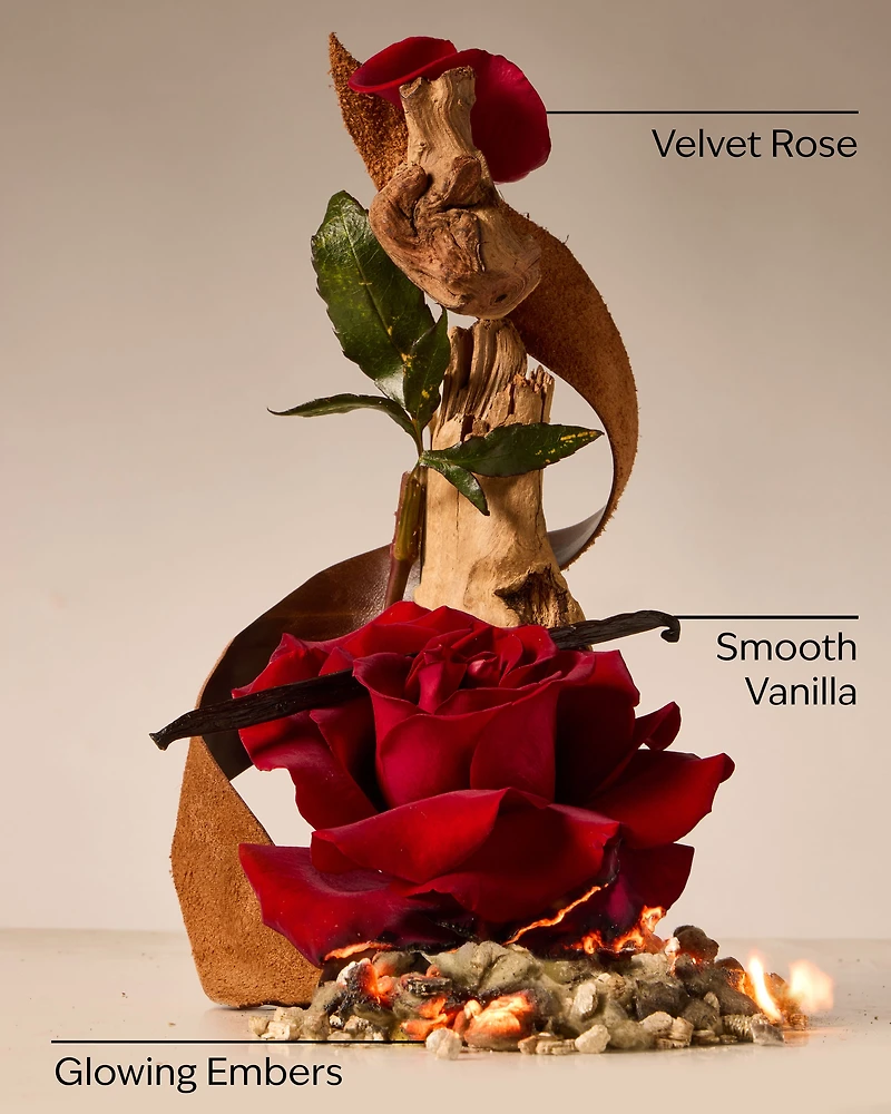 Rosewood & Suede 3-Wick Candle