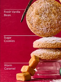 Vanilla Bean Noel Hand Cream