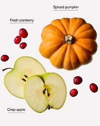 The Perfect Autumn 3-Wick Candle