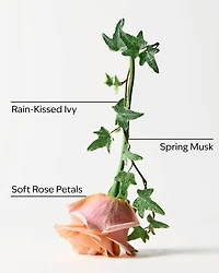 Rose Water & Ivy 3-Wick Candle