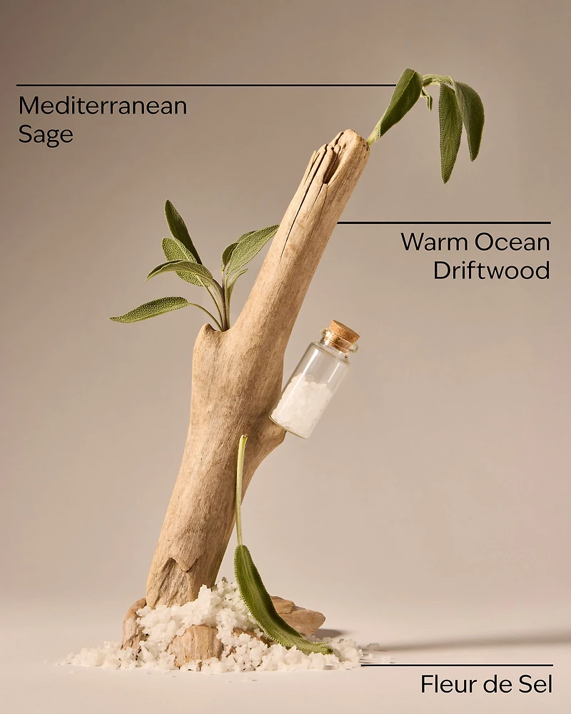 Sea Salt & Driftwood Wallflowers Fragrance Refill