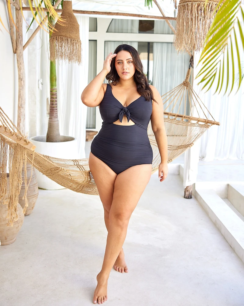 Aria Cezanne D-DD Cup One-Piece Swimsuit