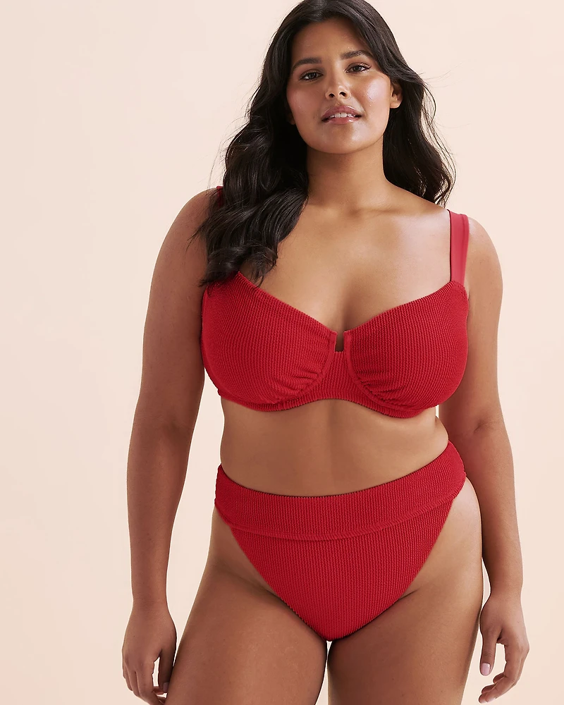 Textured Smocked D Cup Plunge Bikini Top