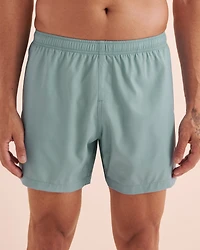 Blue Green Flamingo Volley Swimsuit