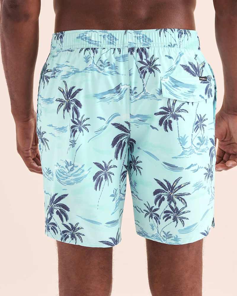 Hermosa lined Volley Swimsuit