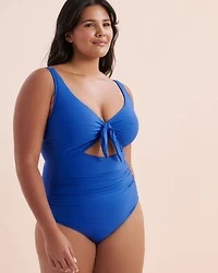 Aria Cezanne D-DD Cup One-Piece Swimsuit