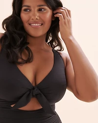 Aria Cezanne D-DD Cup One-Piece Swimsuit