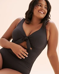 Aria Cezanne D-DD Cup One-Piece Swimsuit